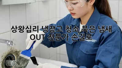상왕십리 냉장고 청소✨ 묵은 냄새 OUT! 전문가 손길로!