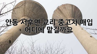 안동 서후면 교리 중고차 매입, 어디에 맡길까요?