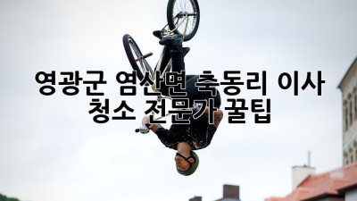 영광군 염산면 축동리 이사 청소, 전문가 꿀팁! ✨